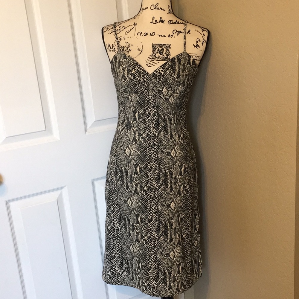 La Belle fashion dress color snake size 5